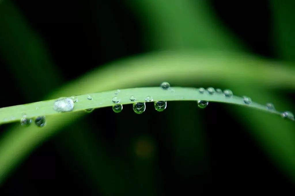 1588639019363409.jpg 6.jpg