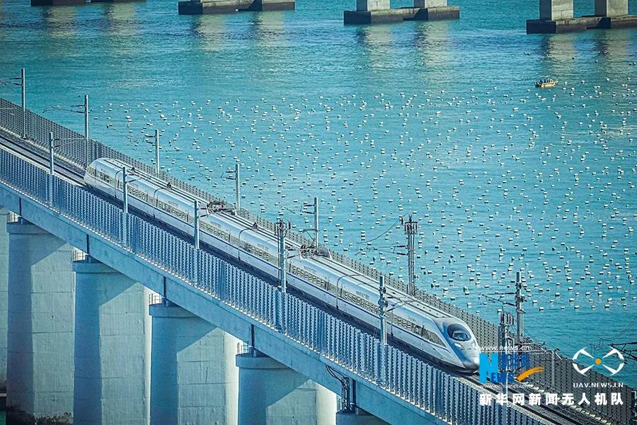 1603456980448889.jpg 2.jpg