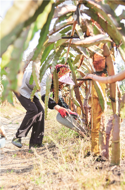 1614561748323806.jpg downLoad-20210301092151.jpg