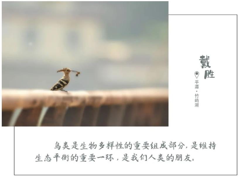 1616898437248446.jpg 01.jpg