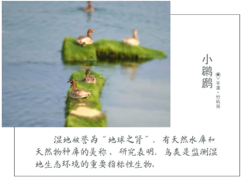 1616898465721053.jpg 02.jpg