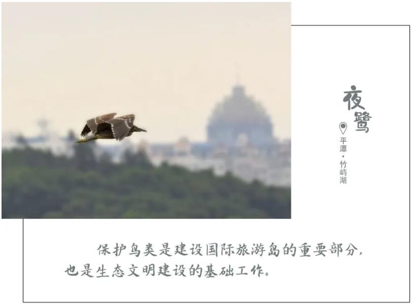 1616898470602345.jpg 03.jpg