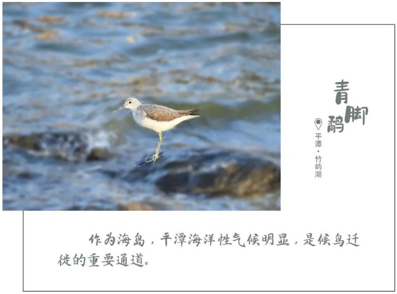 1616898473987166.jpg 04.jpg