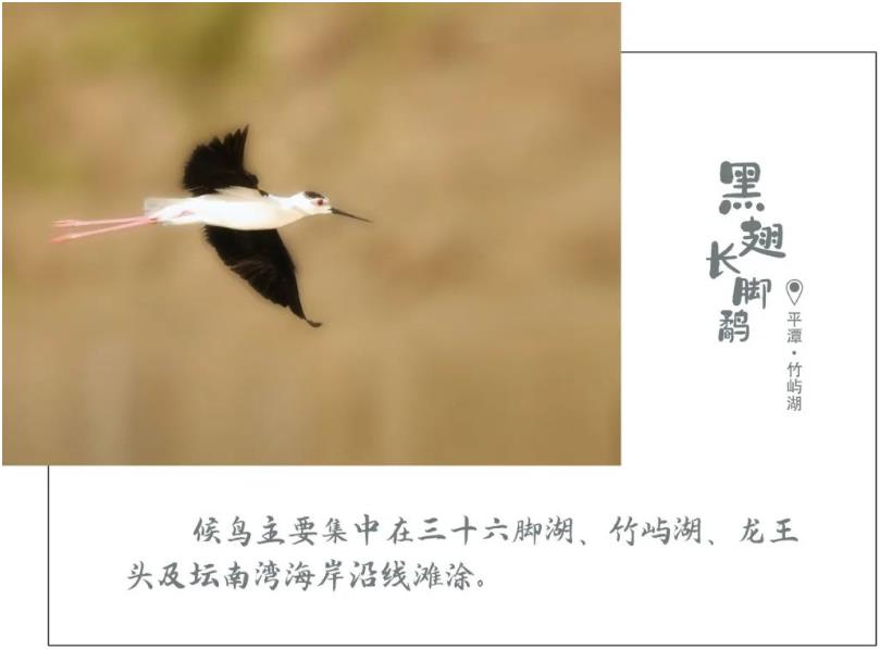 1616898477638766.jpg 05.jpg