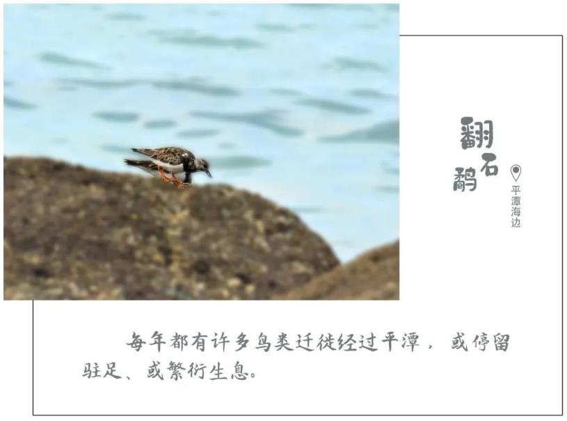 1616898481738185.jpg 06.jpg