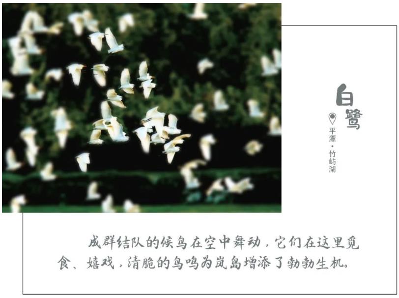 1616898485479761.jpg 07.jpg