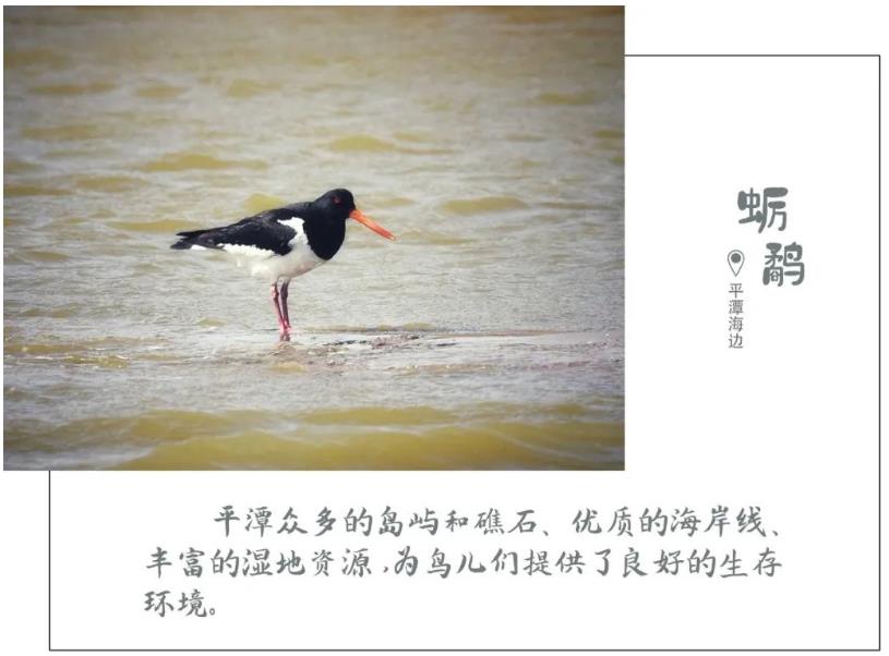 1616898489280052.jpg 08.jpg