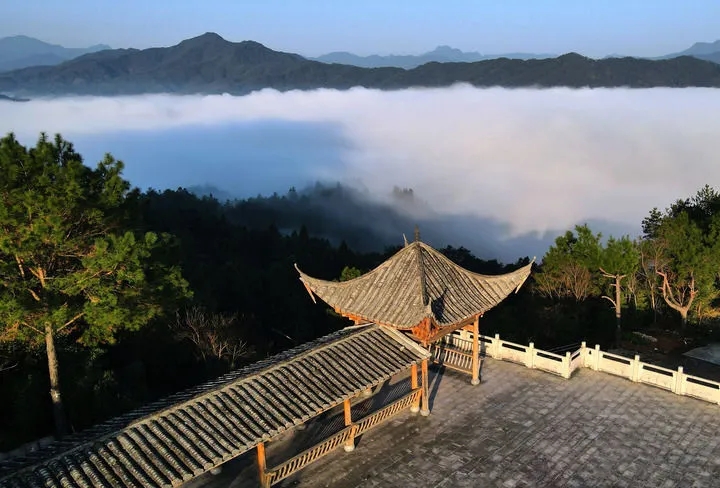 1626441452786227.jpg 20210716_211607_045.jpg