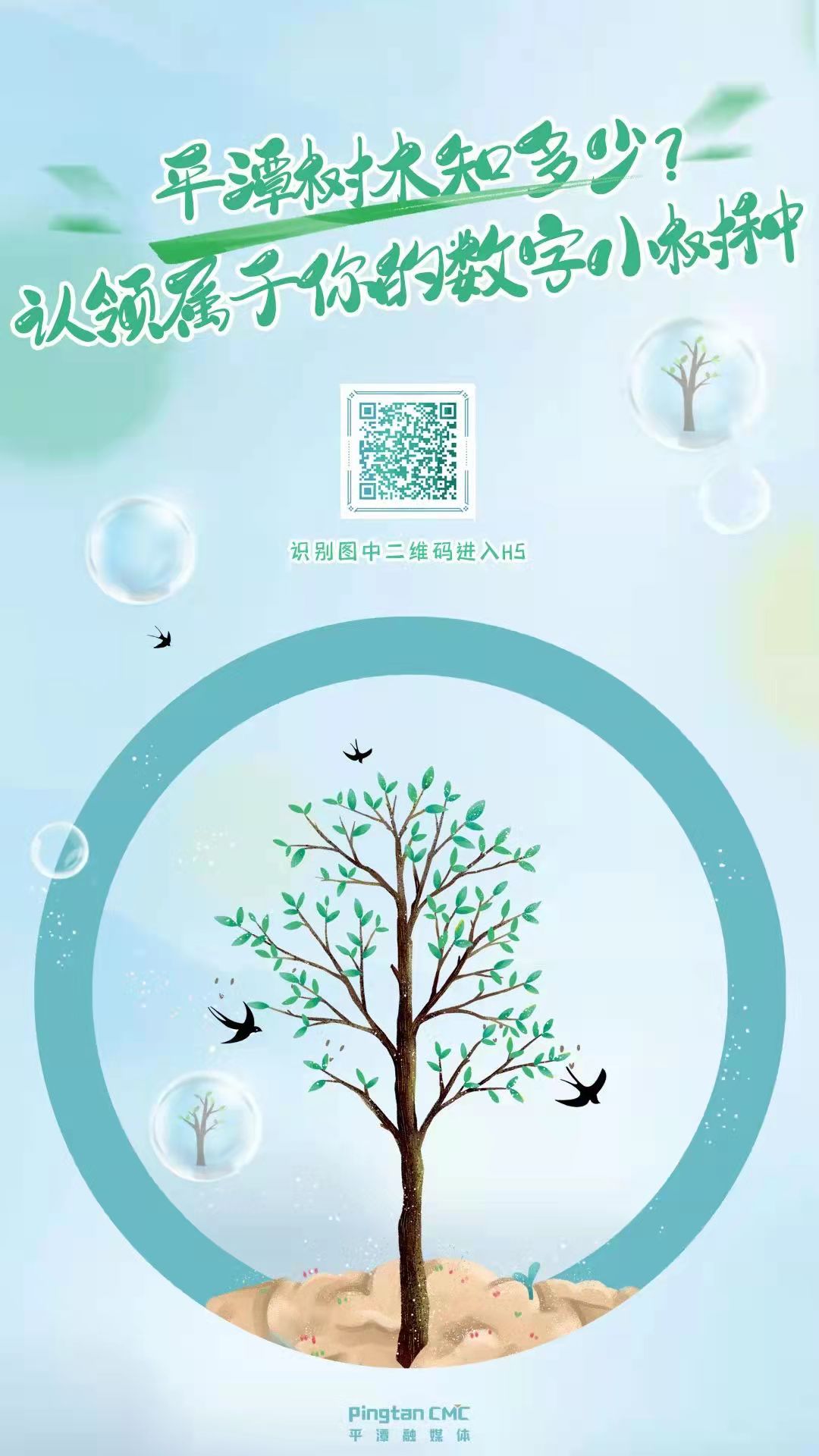 H5丨平潭樹木知多少？認領屬于你的數字小樹種
