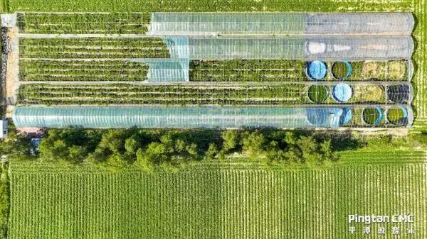 d6f9d9ba7cf5ad8e7167a13abea8b79e_640_wx_fmt=jpeg&wxfrom=5&wx_lazy=1&wx_co=1.jpg d6f9d9ba7cf5ad8e7167a13abea8b79e_640_wx_fmt=jpeg&wxfrom=5&wx_lazy=1&wx_co=1.jpg