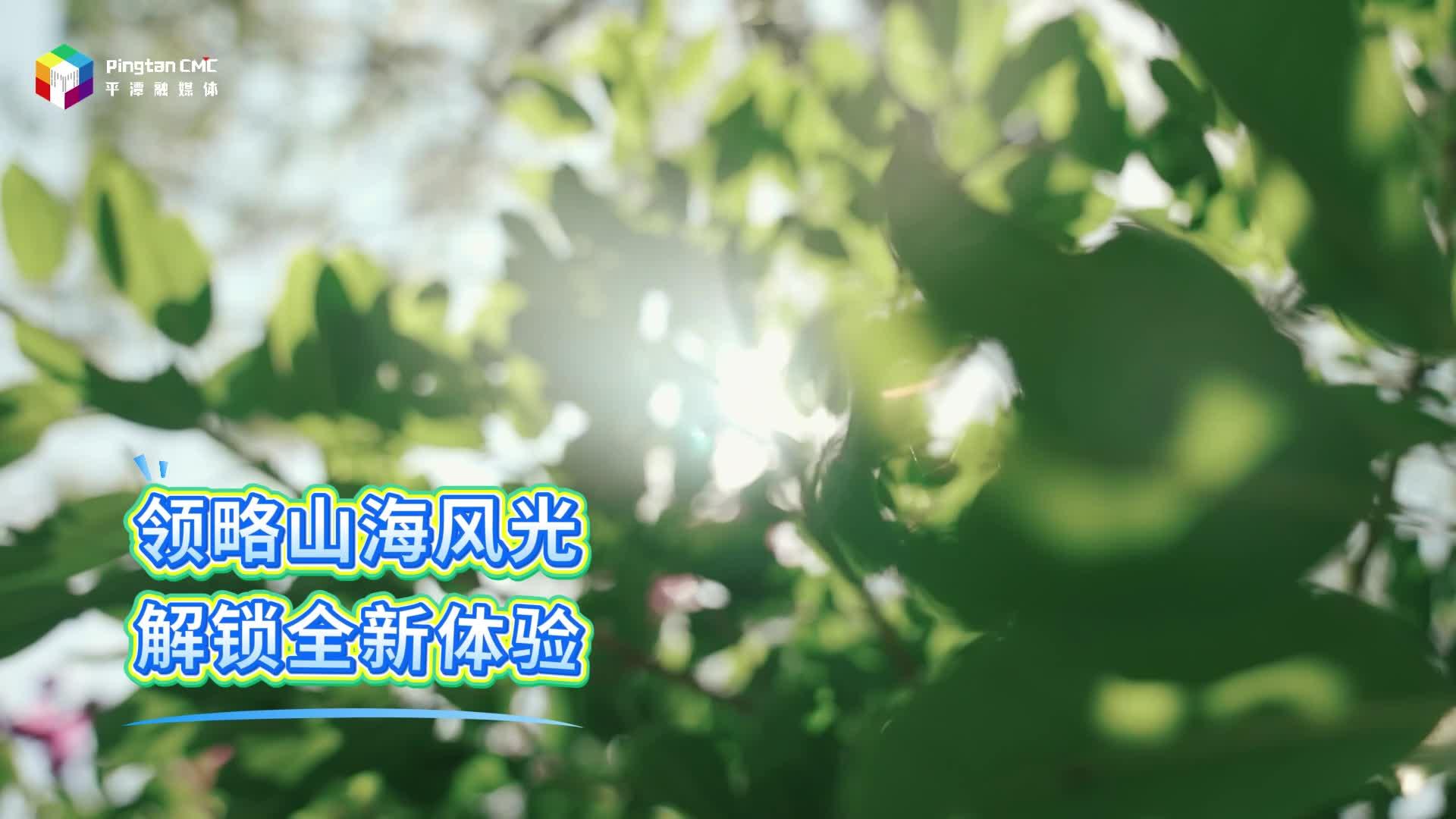 臺灣風情+文創好禮，解鎖海島新體驗